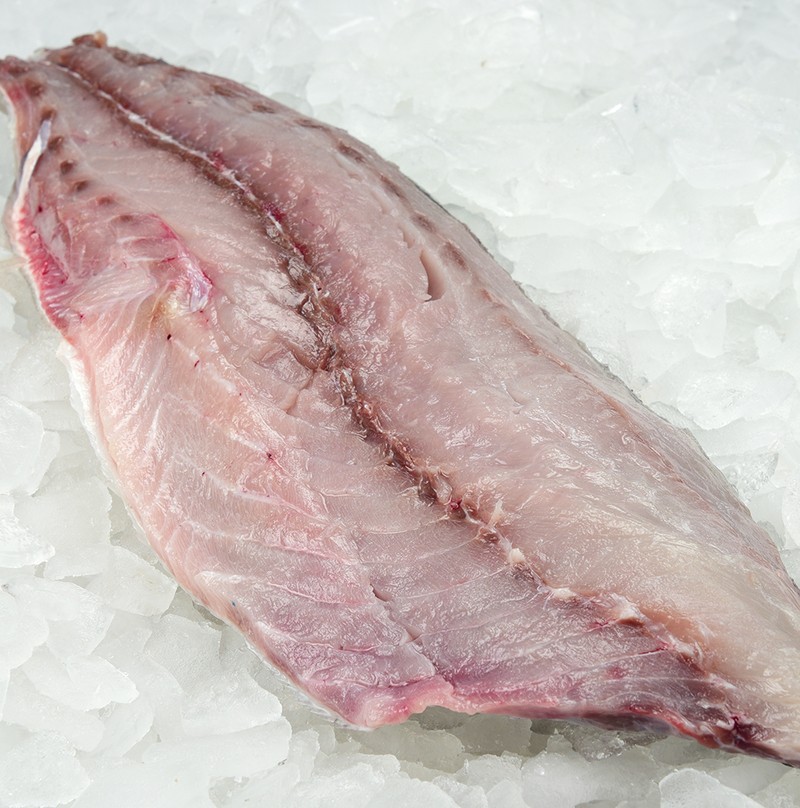 bluefish fillet bluefish fillet