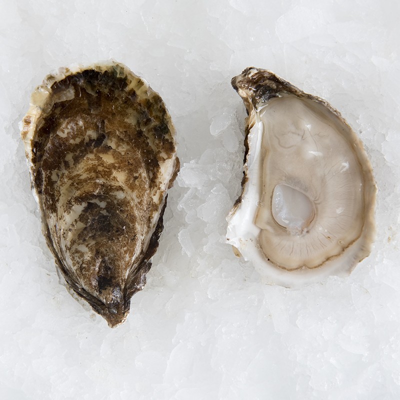 Oysters Malpeque (Prince Edward Island) 100 ct Profish