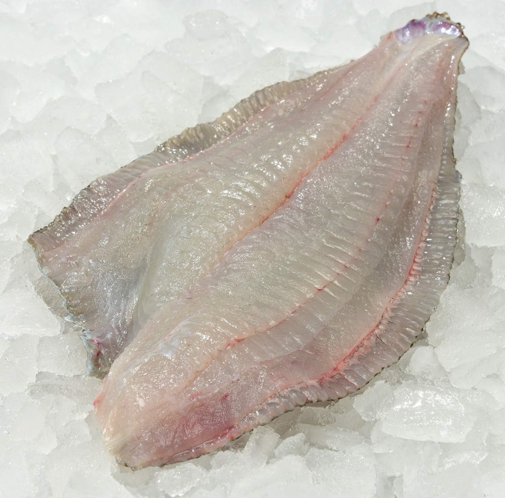 Flounder Fillet Skin On Profish