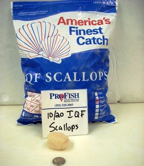 Scallops Sea 10/20 IQF | Profish