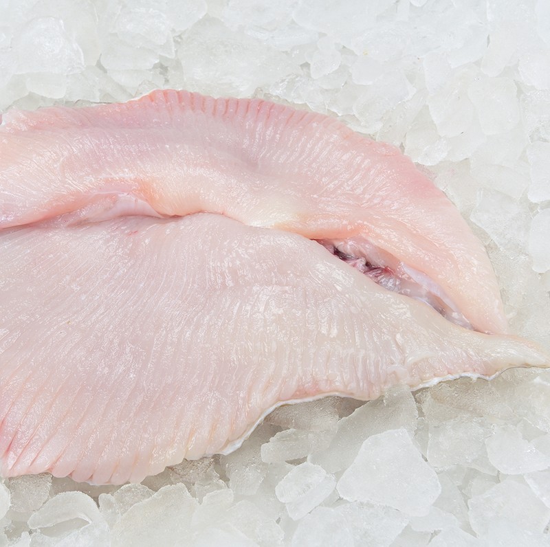 Skate Wings Fillet Profish