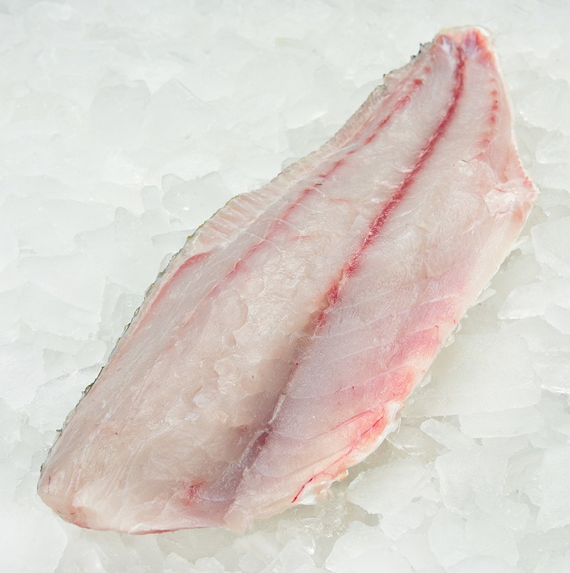 Drum, Black Fish Fillet Profish