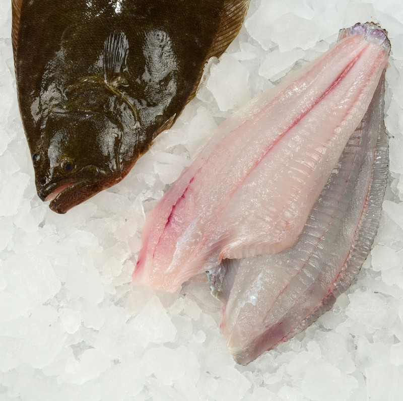 Fresh Flounder Fillet • Harbor Fish Market